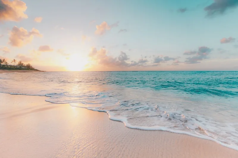 Collier County, FL